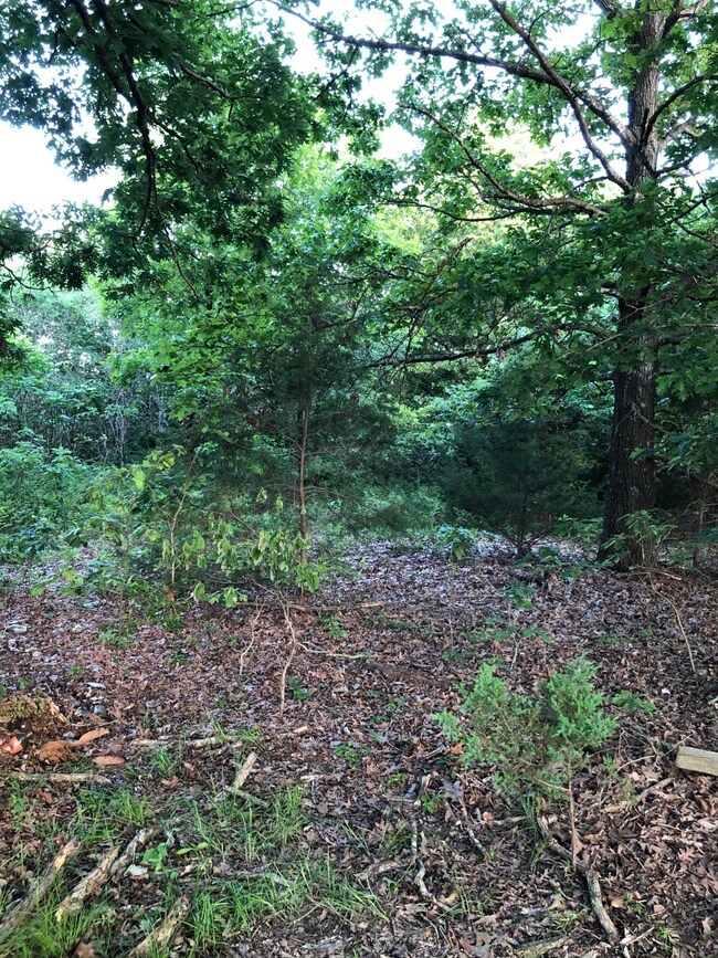 29751 State Highway 248, Jenkins, MO 65605 - photo 2