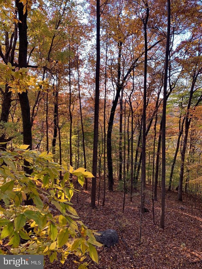 57 Woodchoppertwn Rd, Boyertown, PA 19512 - photo 4