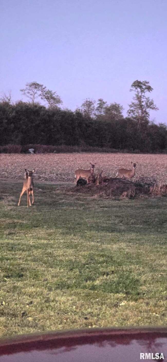 16853 N Wright Rd, Lewistown, IL 61542 - photo 5