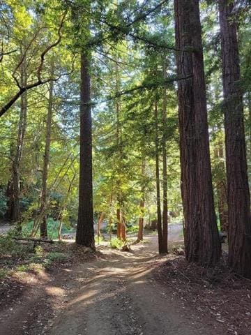 1 Skyview Rd, Boulder Creek, CA 95006 - photo 2