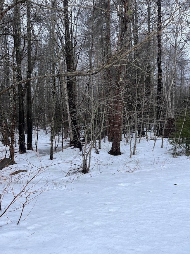 Wooded Lot
