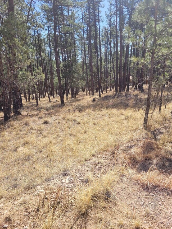 25,26,27 Damascus Rd, Timberon, NM 88350 - photo 3