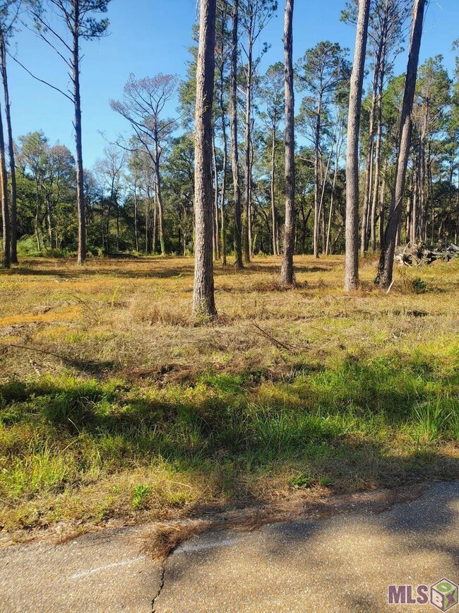 22601 Fletcher Rd, Ponchatoula, LA 70454 - photo 2