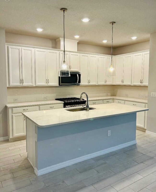 5657 Del Coronado Dr, Apollo Beach, FL 33572 - photo 6