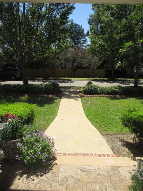 Front Yard