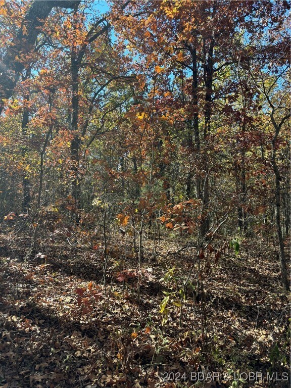 10.4 ac State Highway T, Stover, MO 65078 - photo 7