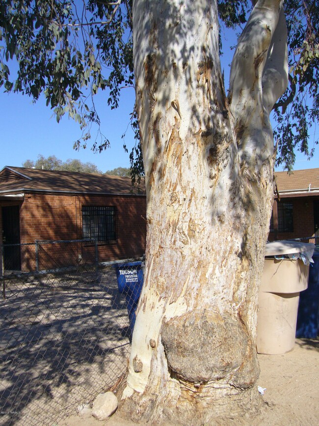 4549 E 20th St, Tucson, AZ 85711 - photo 5