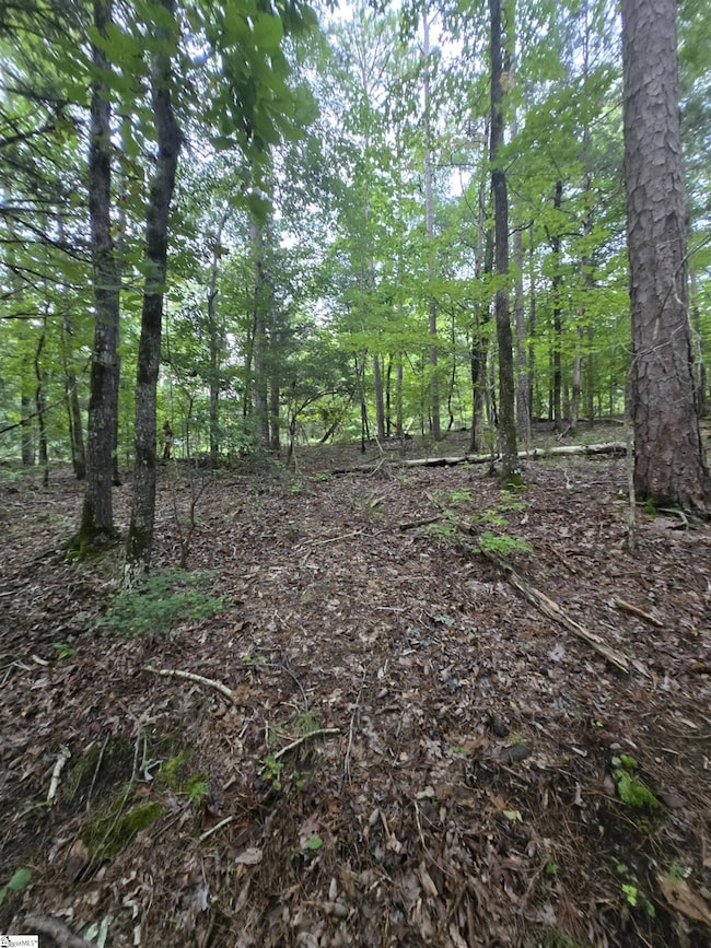 0 Dockside Dr, Iva, SC 29655 - photo 2