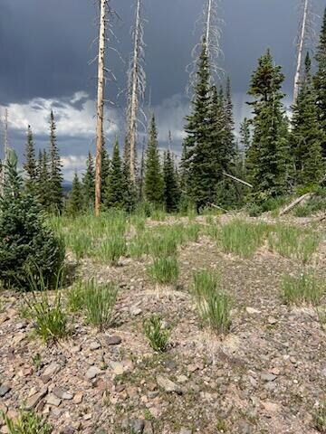 IMG_8519(1)