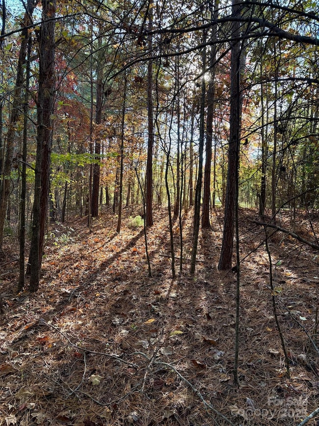 0 Cross Creek Dr unit 261 CAR4231323, Rutherfordton, NC 28139 - photo 4