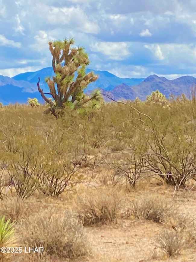 120 ACRES S Dale Evans Rd, Yucca, AZ 86438 - photo 5