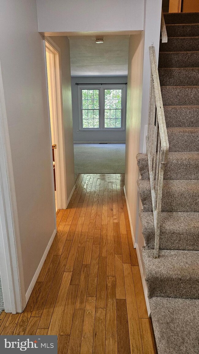 11910 Sloane Ct, Reston, VA 20191 - photo 5