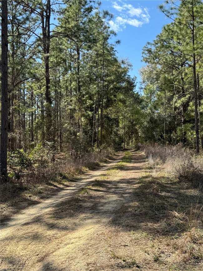 0 SW 156th Ct unit MFRO6331601, Ocala, FL 34481 - photo 6