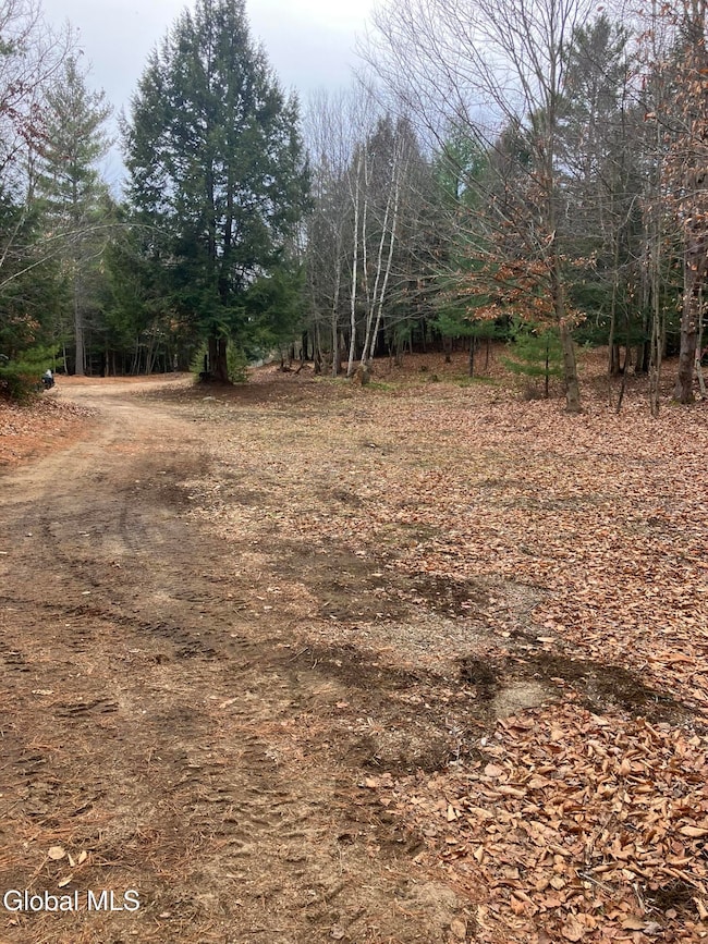 0 Scofield Rd unit 202530120, Lake Luzerne, NY 12846 - photo 3