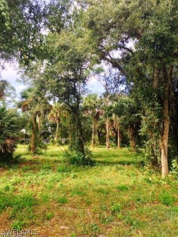 18821 Palm Beach Blvd, Alva, FL 33920 - photo 4