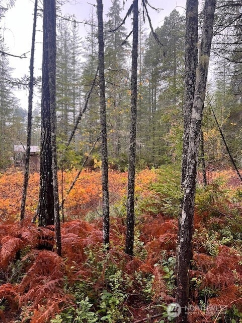 0 Tract 15 NE Dewatto Hills Rd, Belfair, WA 98528 - photo 5