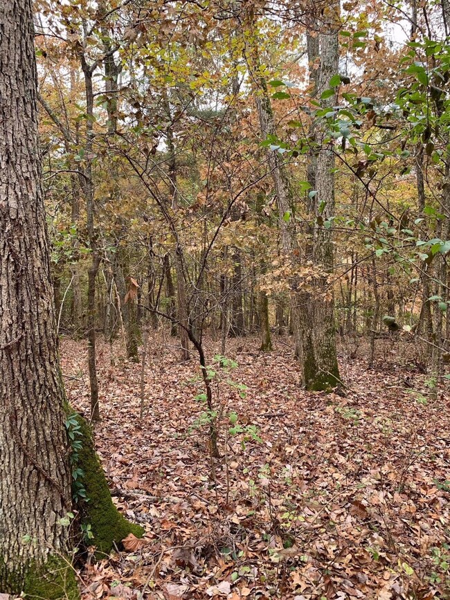 1499 Hifner Rd, Versailles, KY 40383 - photo 6