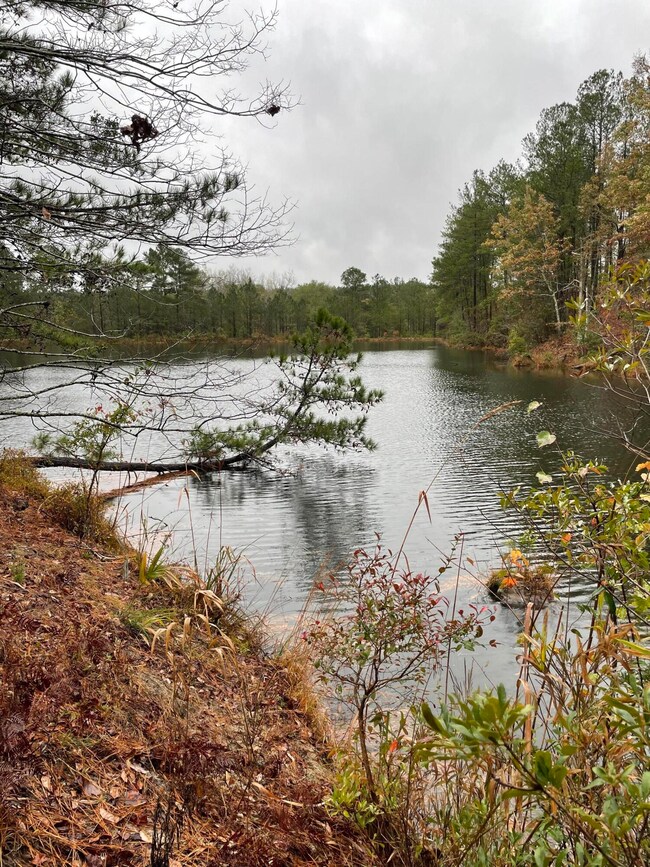 pond