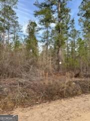 0 Busby Rd unit 10479601, Statesboro, GA 30458 - photo 4