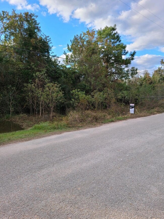 27N E Longwoods Meadows, Cypress, TX 77429 - photo 4