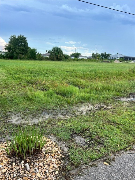 View of local wilderness