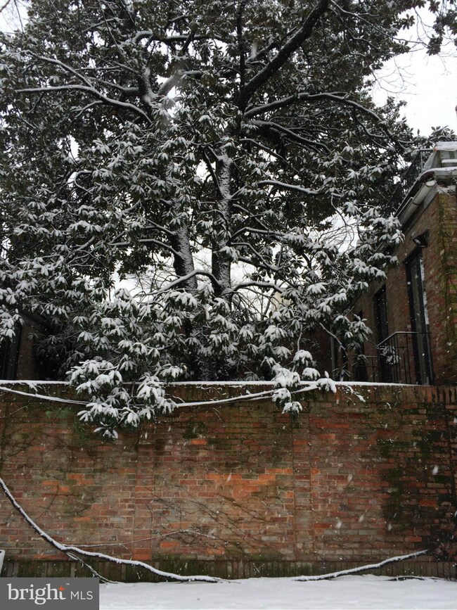 2920 Dumbarton St NW, Washington, DC 20007 - photo 6