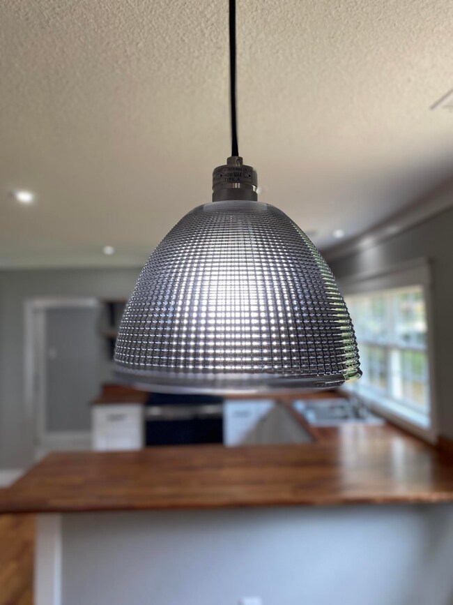 Dining Area Light Fixture