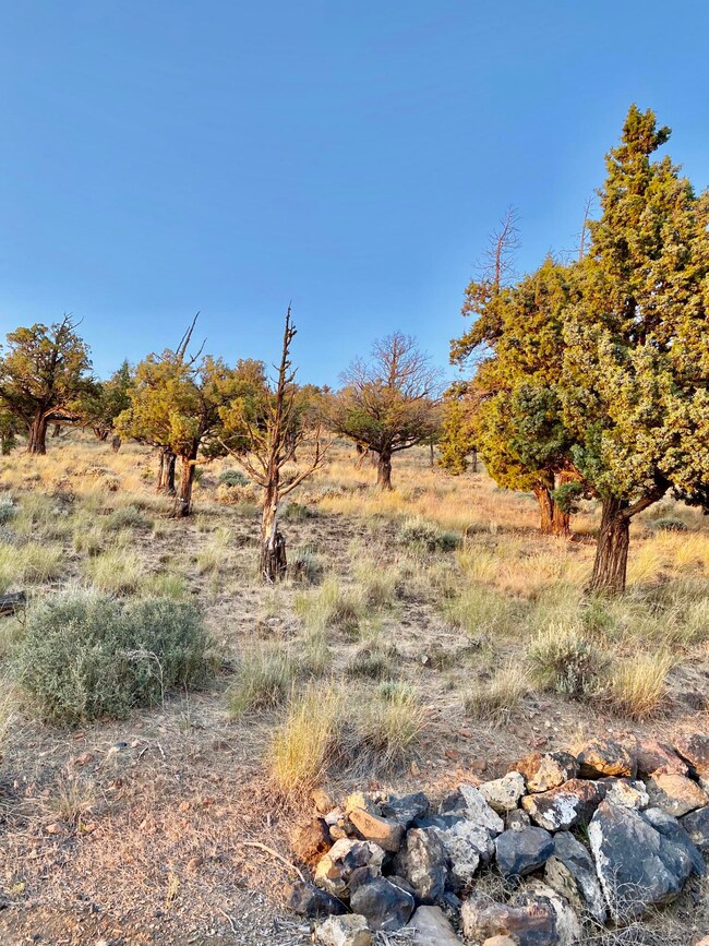 1220 Sweeping View Ct, Redmond, OR 97756 - photo 5