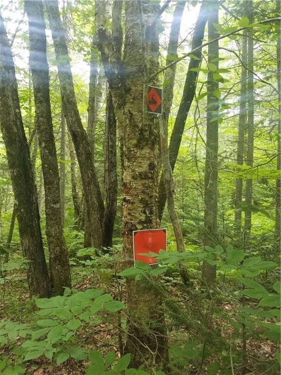 Existing snowmobile trail on lot