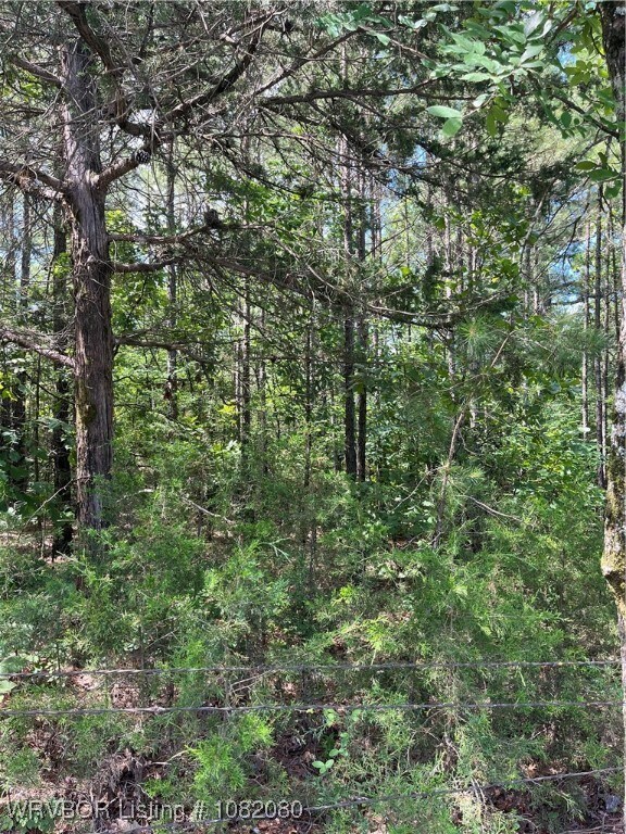 Tract 7 SE 1083rd Ave, Red Oak, OK 74563 - photo 5