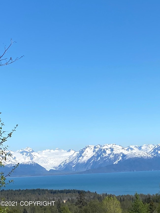 58150 Glacier View Rd, Fritz Creek, AK 99603 - photo 3