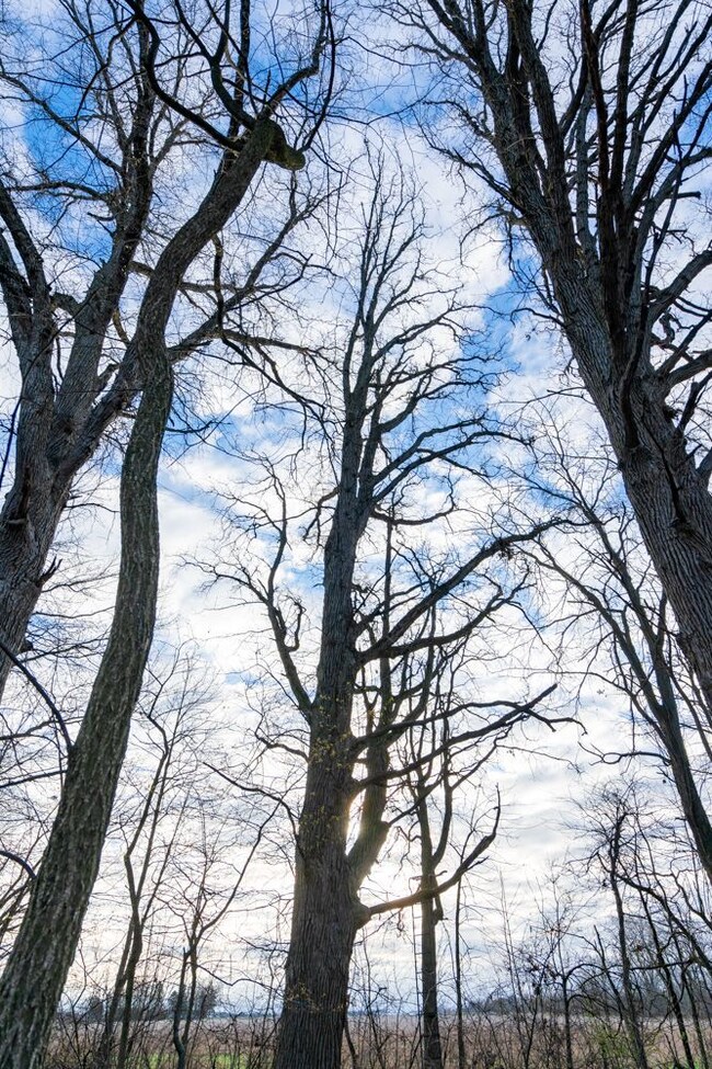 0000 Eagleville Rd, North Baltimore, OH 45872 - photo 6