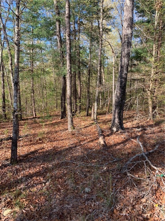 545 Flat Shoals Rd, Walhalla, SC 29691 - photo 3