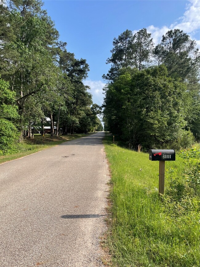 31111 Sugar Bend Dr, Magnolia, TX 77355 - photo 3