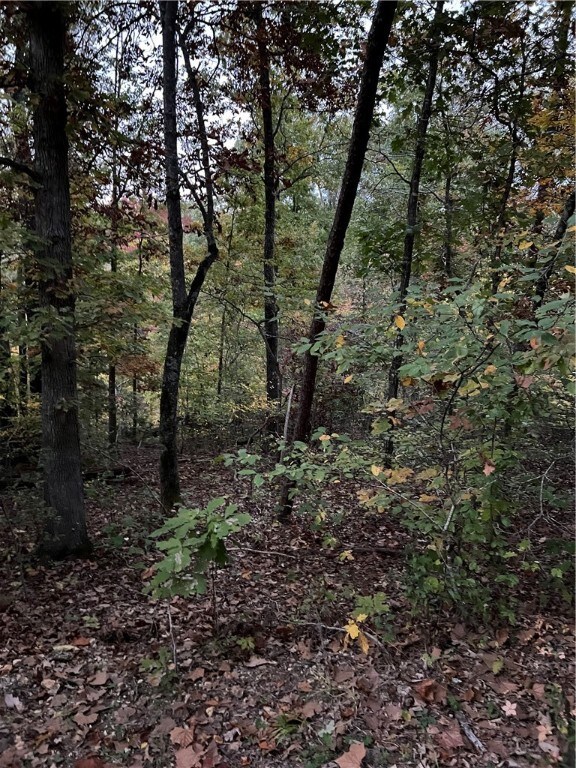 0 Zennor Cir unit 1258224, Bella Vista, AR 72715 - photo 2