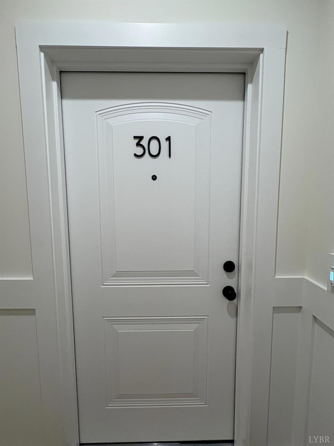 420 Capstone Dr unit 301, Lynchburg, VA 24502 - photo 2