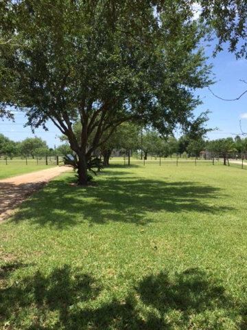 4824 N Mile 3 1 2 W, Weslaco, TX 78599 - photo 3