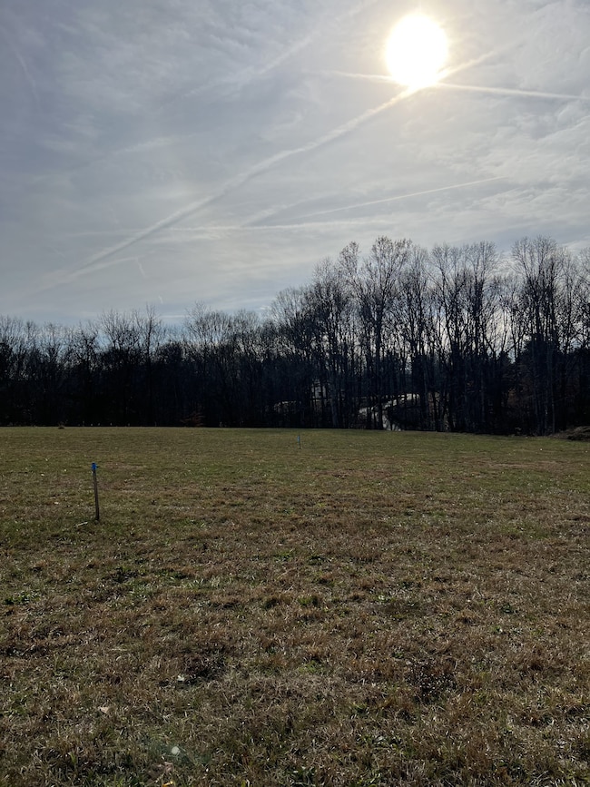 2981 Lights Chapel Rd, Greenbrier, TN 37073 - photo 3