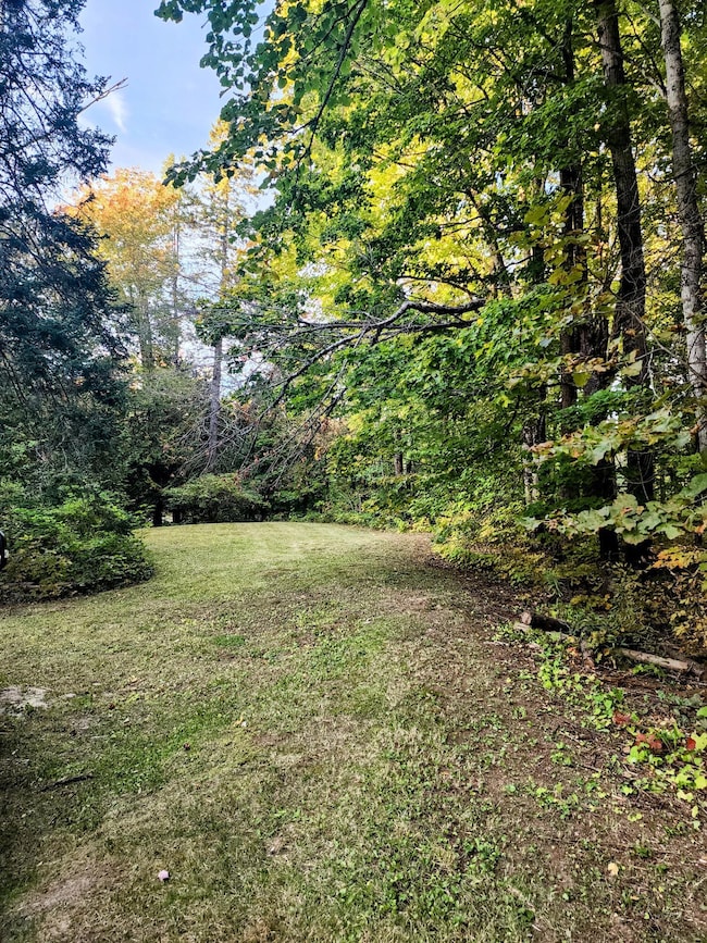 View of Lawn Area