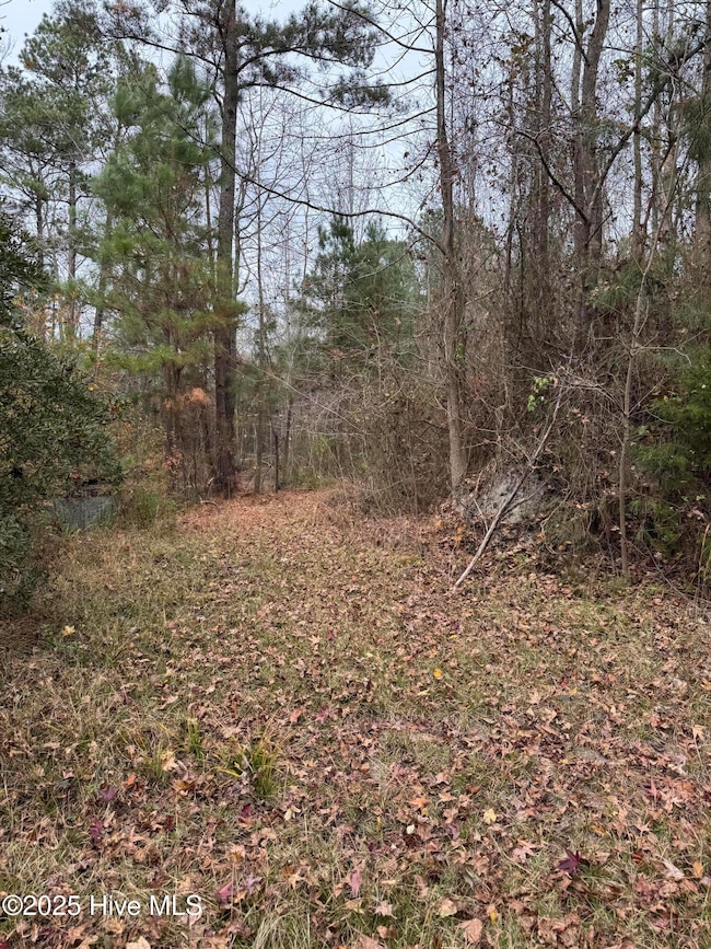 0 Boyd Lake Rd, Hamlet, NC 28345 - photo 7