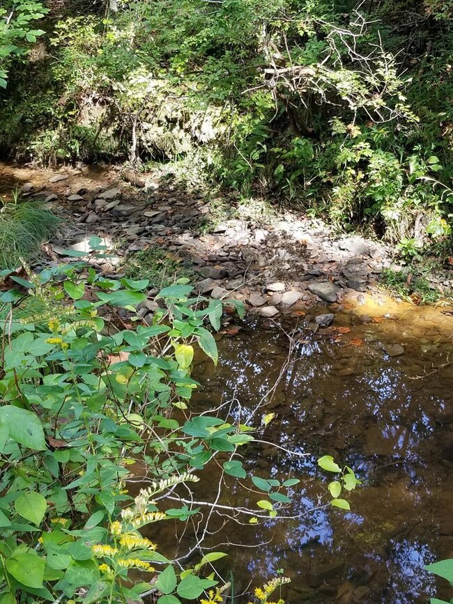 20.62 AC Stoney Cross Rd, Chase City, VA 23924 - photo 6