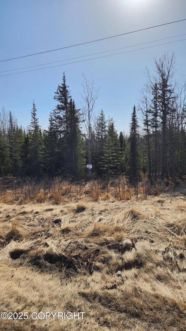 6479 Kenai Spur Hwy, Kenai, AK 99611 - photo 2