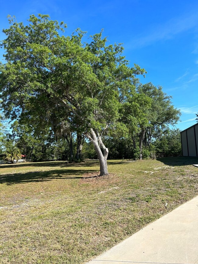 1011 Gary Ln NE, Steinhatchee, FL 32359 - photo 3