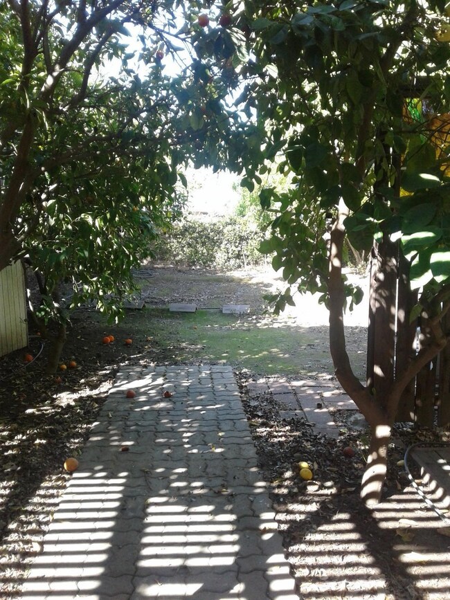 Path leading to garden area.