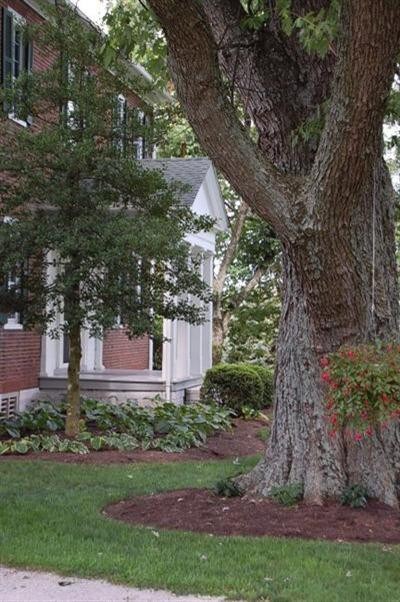 687 Kidds Mill Rd E, Versailles, KY 40383 - photo 2