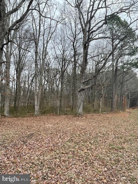 604 Dulin Clark Rd, Centreville, MD 21617 - photo 2