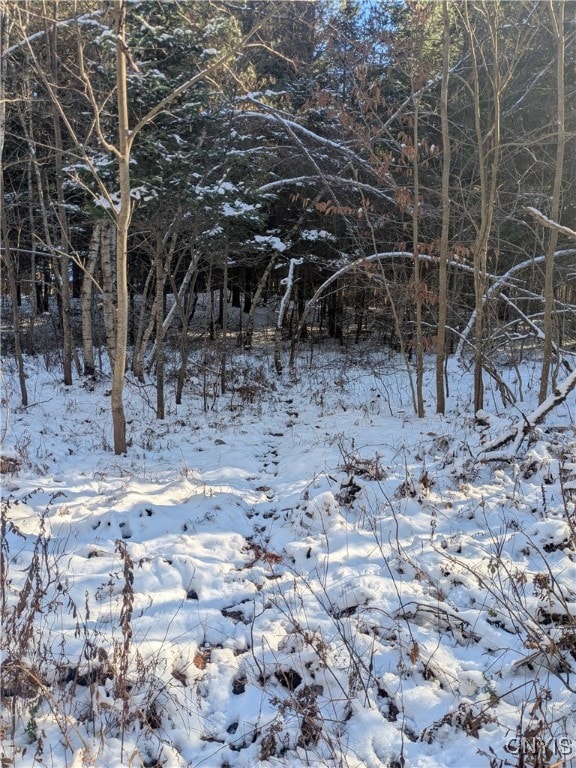 0 Bellingertown Rd unit S1651309, Forestport, NY 13338 - photo 4