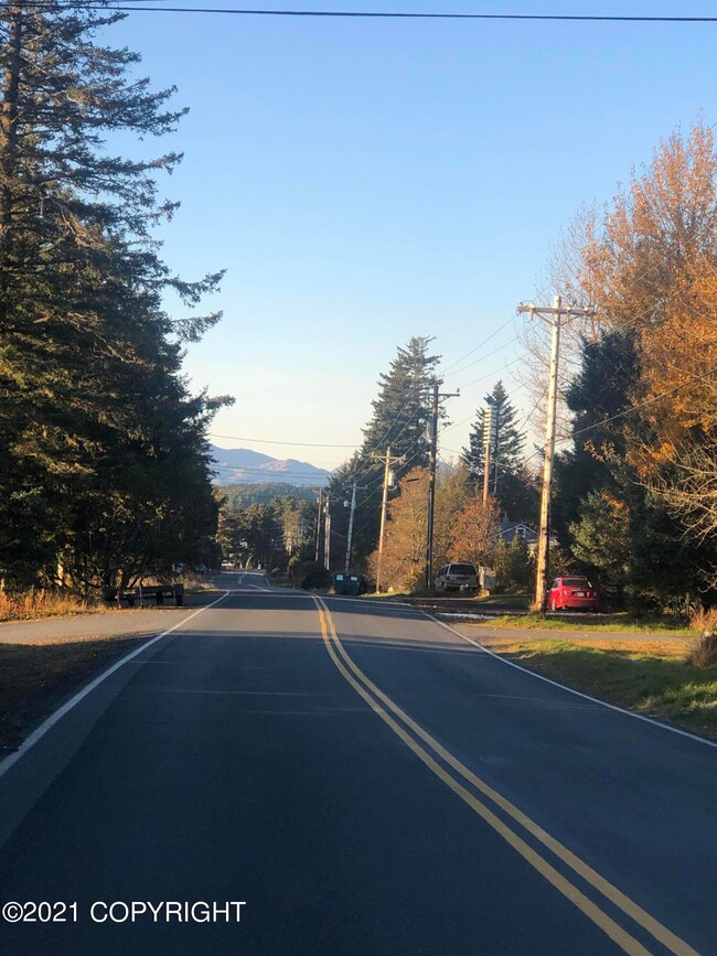 Spruce Cape Rd