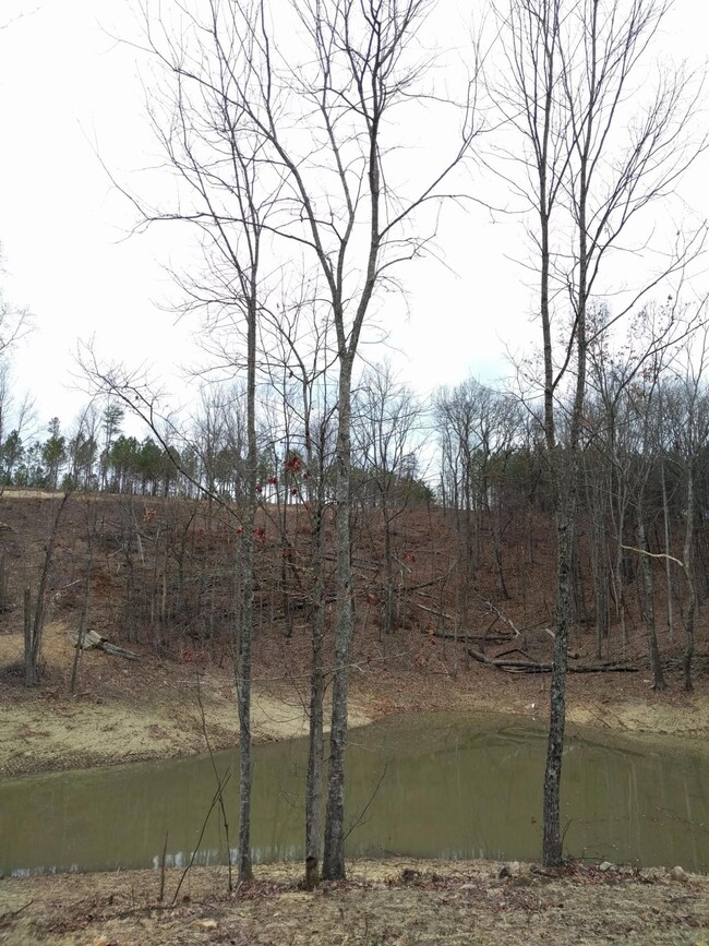 0 Bear Trace Dr unit 1268369, Jasper, TN 37347 - photo 7