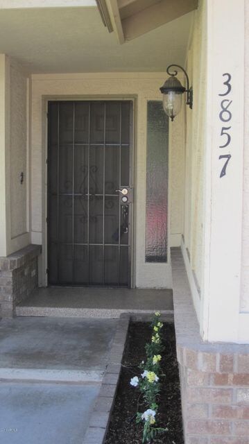 Security Door
